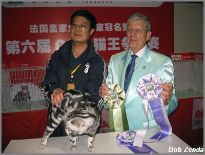 Silver of Cat Life Best AB Champion